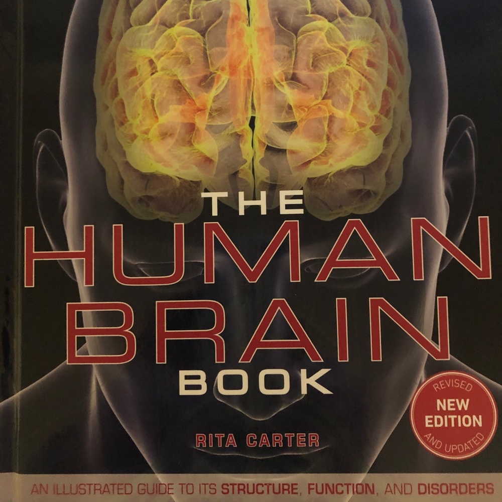 The Human Brain Book
